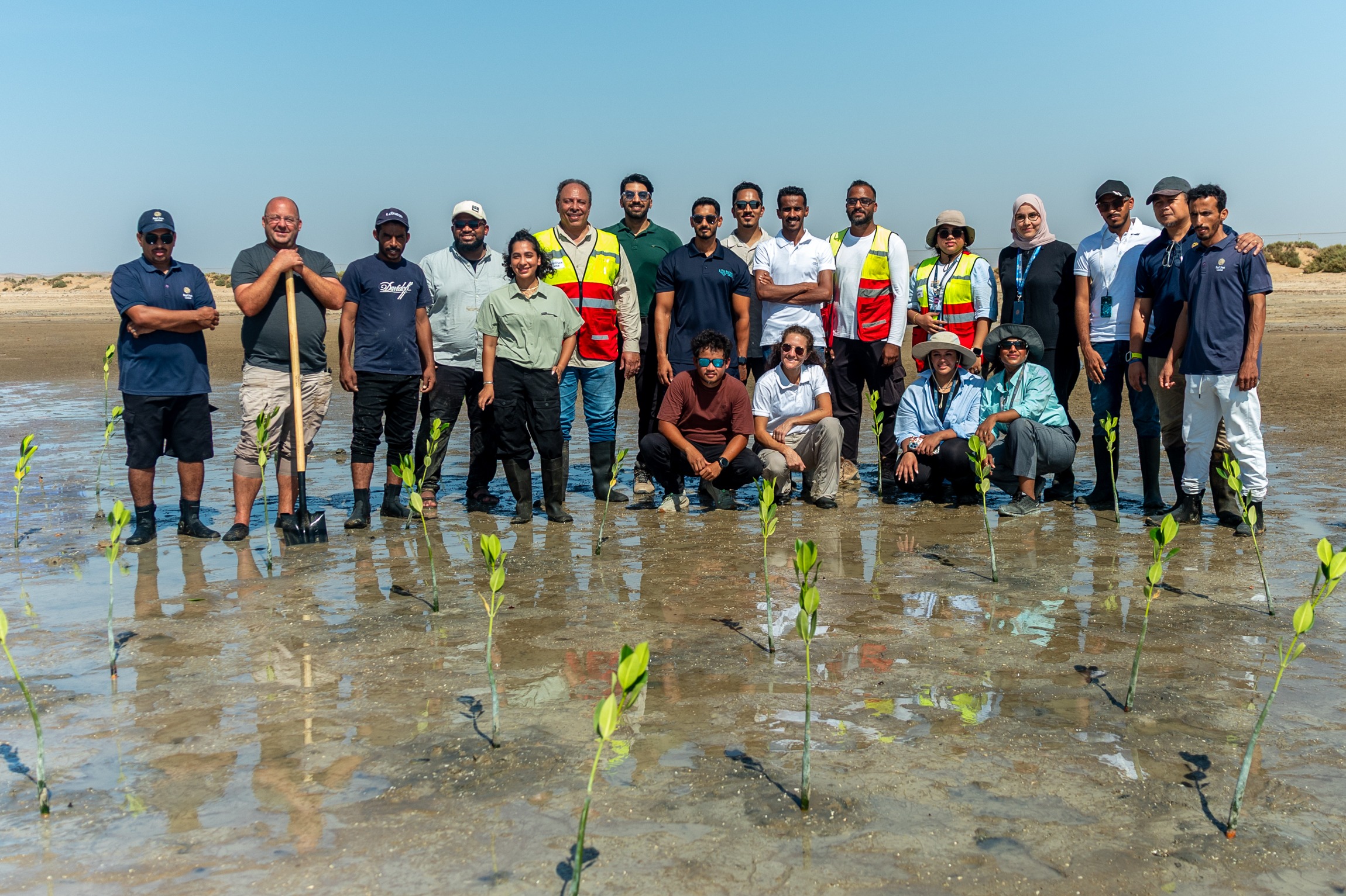 Red Sea Global completes Saudi Arabia’s largest Red Mangrove restoration program