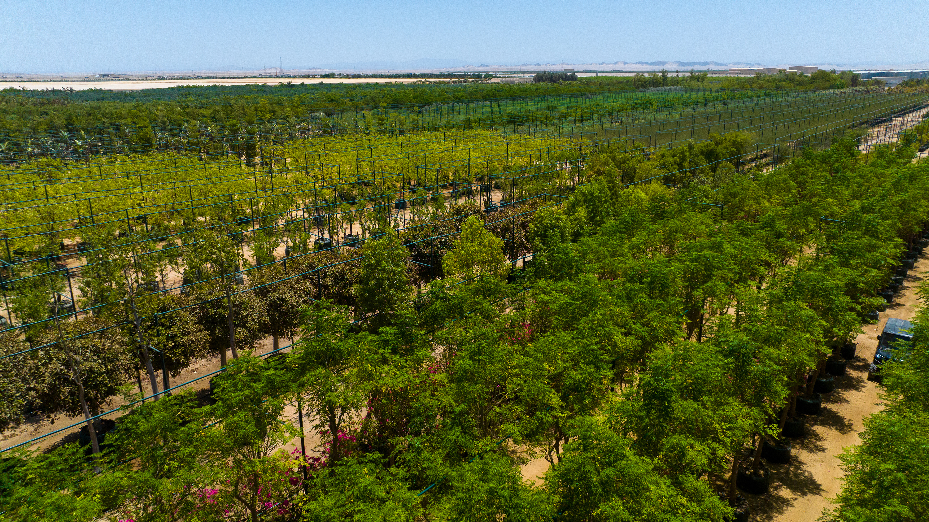 Red Sea Global introduces Botanica, now open for guests