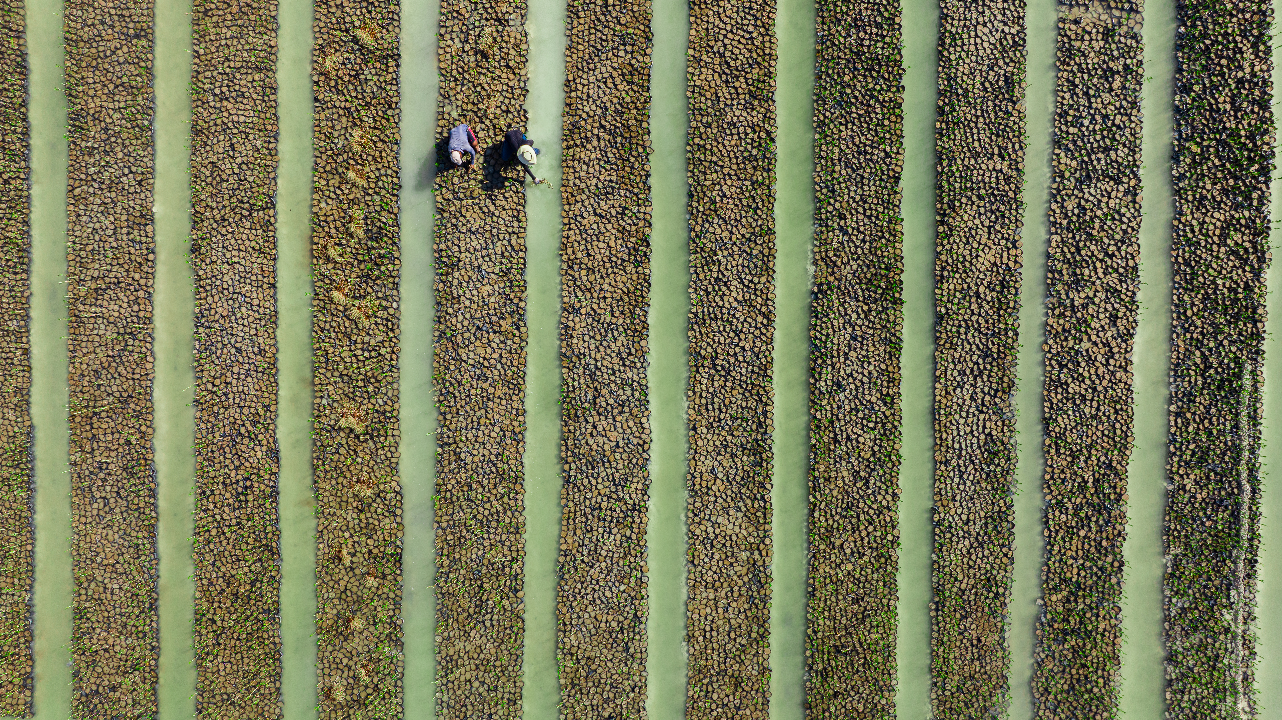 Red Sea Global issues its first Annual Community Development Report: Empowering People, Enriching Places